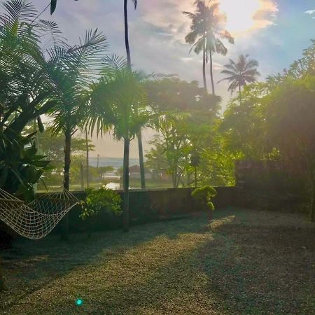 Petit Ana Beach Retreat Varkala Eksteriør billede